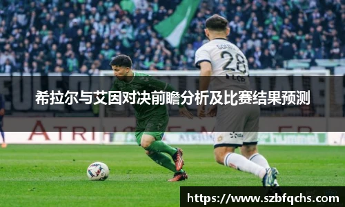 希拉尔与艾因对决前瞻分析及比赛结果预测